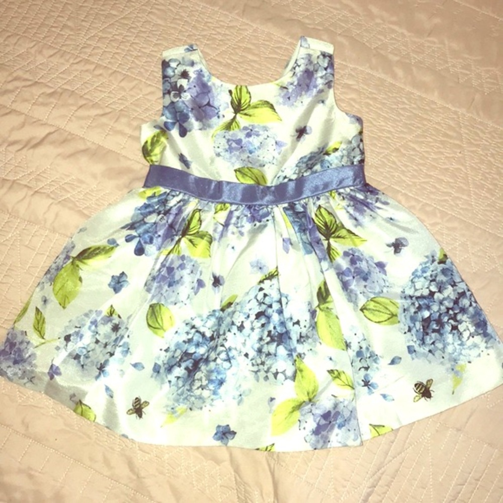 Gymboree Hydrangea Dress 6x